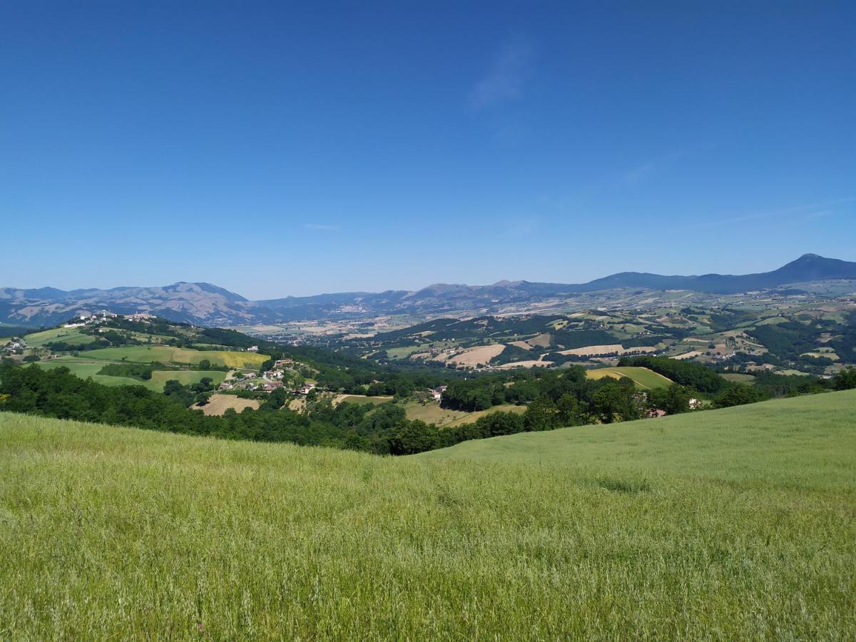 All Inbasilicata Bed & Breakfast Baragiano Экстерьер фото
